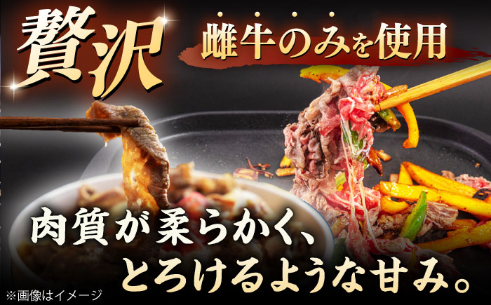 【A4～A5 等級】博多和牛 切り落とし 500g ＜ヒサダヤフーズ＞那珂川市 [GFY022]