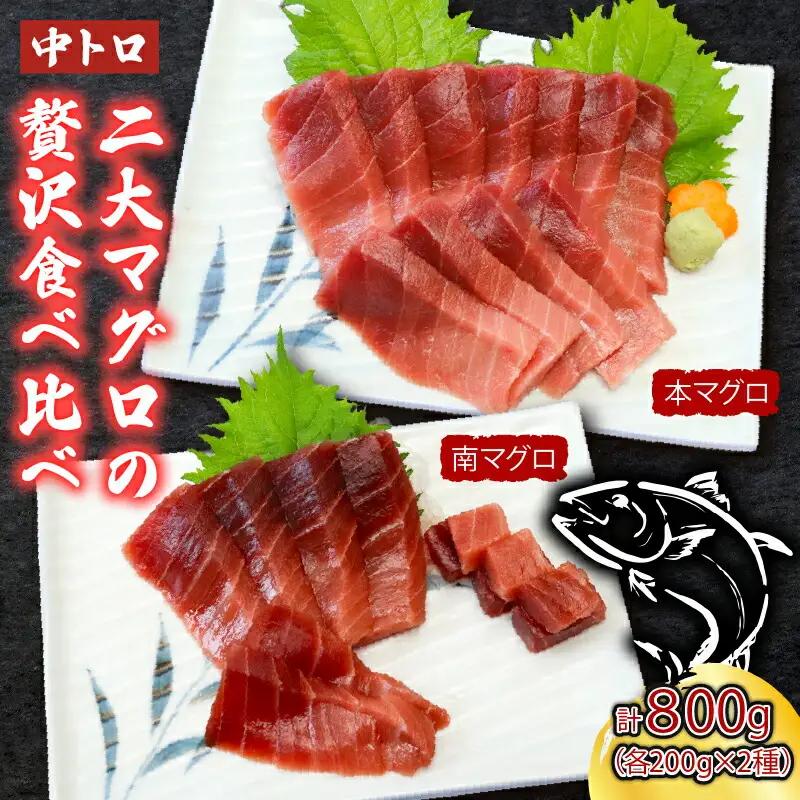 天然 本まぐろ 南まぐろ中トロ（800g） [eb023]