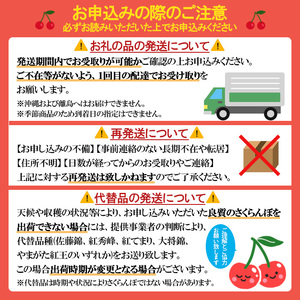 山形市産 さくらんぼ【紅秀峰】 Lサイズ 800g(200g×4P) 【令和9年産先行予約】FS24-755