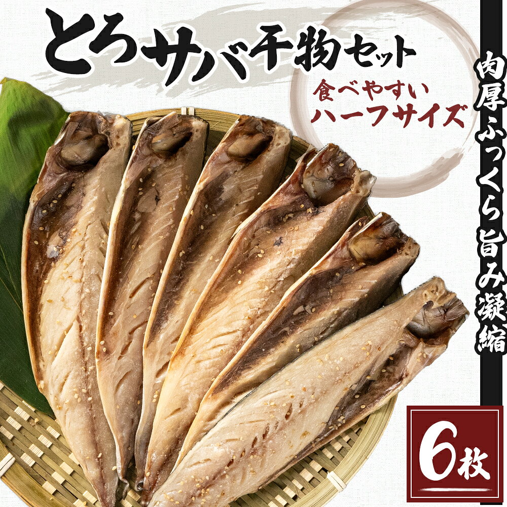 【ふるさと納税】干物 とろサバ 6枚 1枚約200g前後×6枚 合計約1.2kg前後 お試し ハーフサイズ おひとり様 冷凍保存 トロサバ 一夜干し 簡単調理 秋田県にかほ市　魚貝類・干物・鯖・サバ・詰合せ