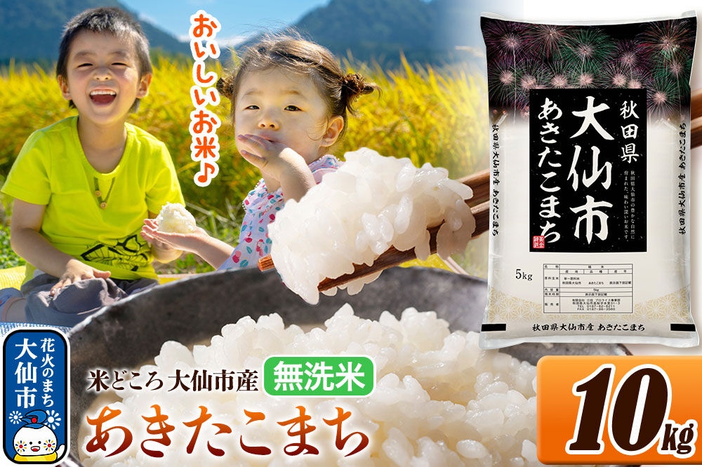 米 あきたこまち【無洗米】米どころ秋田県大仙市産 令和7年産 精米 10kg（5kg×2袋） [米 お米 こめ 無洗米 精米 あきたこまち ブランド米 通算23回 特A 小分け ご飯 ごはん 米どころ