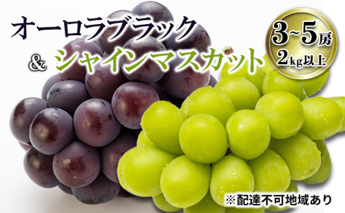 【2026年先行予約】 ご家庭用 ぶどう 岡山県産オーロラブラック＆シャインマスカット 3～5房（2kg以上) 《2026年7月下旬-8月下旬頃出荷》 葡萄 ブドウ フルーツ 果物 スイーツ 数量限定 期間限定 里庄町 リアム farm