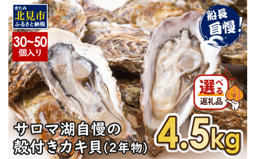 【2024年10月中お届け】サロマ湖自慢の殻付きカキ貝 2年物 4.5kg詰め ( 牡蠣 かき 濃厚 魚介類 貝類 カキ ふるさと納税 牡蠣 北見市 BBQ )【114-0013-2024】