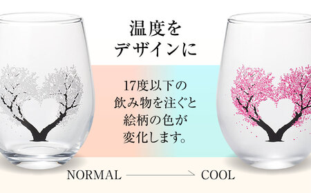 温度で変化する器 フリーグラスペアセット 『冷感ハート桜』　 多治見市 / 丸モ高木陶器[TBA267]