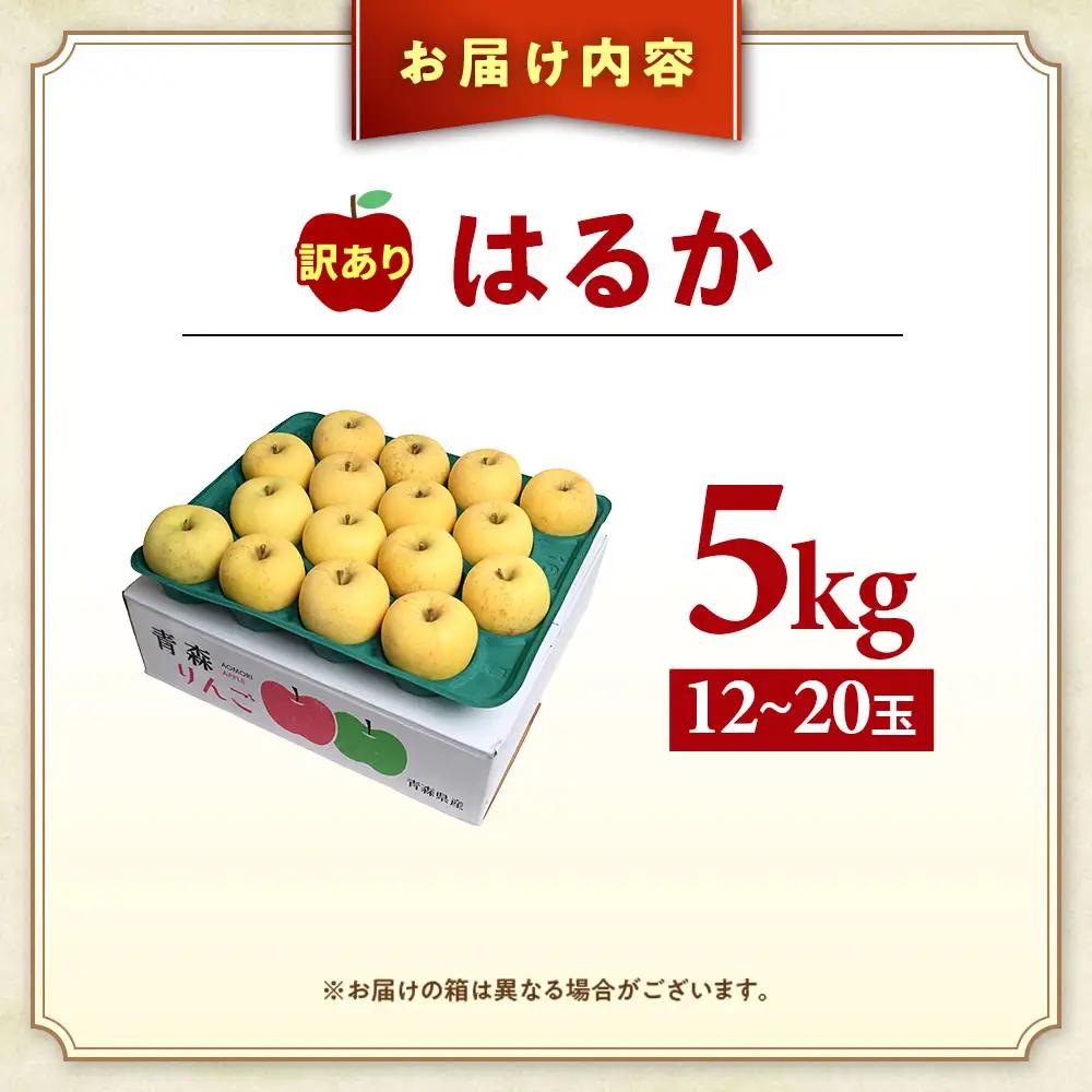 【訳あり】 青森県産りんご はるか 約5kg 12月上旬～ りんご