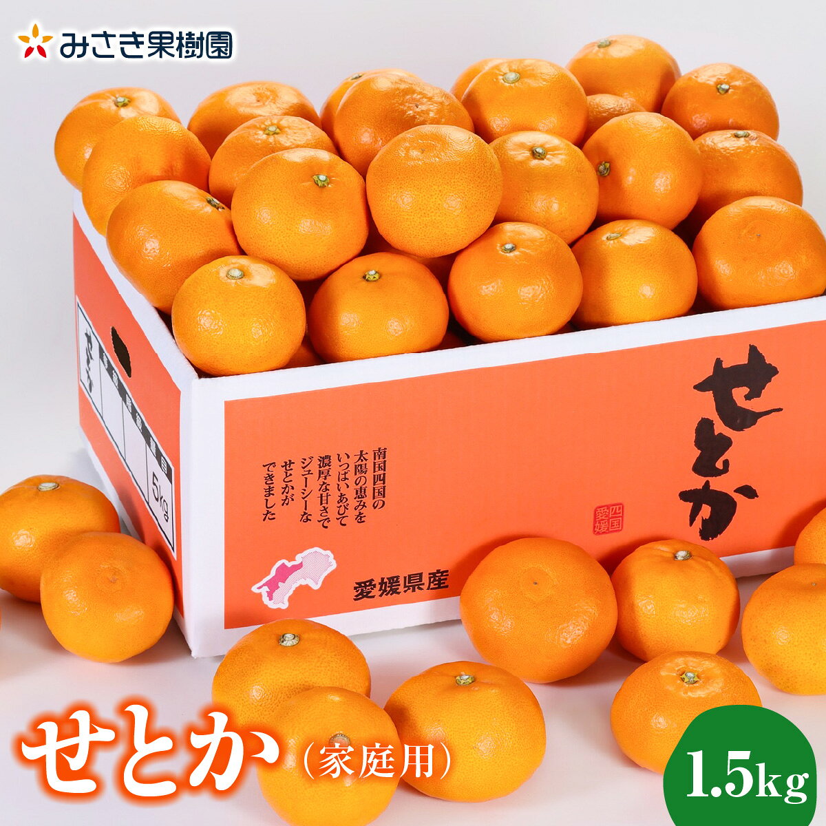 【ふるさと納税】【先行受付】【家庭用】せとか1.5kg【A21-54】_【1682655】YWTBC035