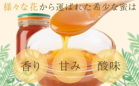 【B51001】鹿児島県産日本ミツバチ蜂蜜(約450g×2本・計約900g) 幻とも言われる貴重な生はちみつ！蜂蜜 ハチミツ はちみつ ハニー 蜜 国産 鹿児島 日本ミツバチ 生はちみつ 生蜂蜜 トー