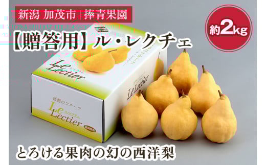 【2026年先行予約】【贈答用】西洋梨 ル・レクチェ 約2kg（5〜7玉） 《11月下旬～順次発送》 ル・レクチエ ルレクチエ ルレクチェ 幻の西洋梨 果実 フルーツ 冬の味覚 加茂市 捧青果園
