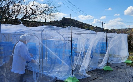 臼杵市佐志生の古民家を作業場にしています。