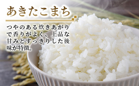 【新米先行受付】☆令和6年産☆『あきたこまち』精米10kg(5kg×2袋) 出荷日に合わせて精米 【2024年9月上旬より発送開始】あきたこまち 人気 銘柄 茨城県産 数量限定 家計応援 家庭用 茨城