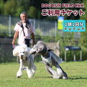 【ふるさと納税】DOG RUN FIELD KkK　ご利用チケット [No.909] ／ ドッグ 犬 ドッグラン 券 送料無料 岐阜県