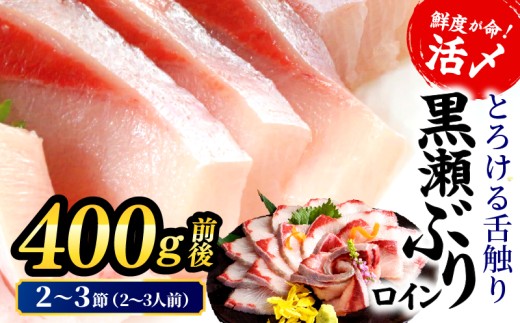 ＜2026年6月発送分＞活じめ！黒瀬ぶりの生鮮ブリロイン2節～3節（400g前後） 刺身 海鮮 海産物 魚 水産物 海鮮丼 ぶりしゃぶ 生食 冷蔵 しゃぶしゃぶ 国産 ブリ 贈答用 おすそ分け お刺身 食品 お歳暮 ぶり大根 鮮魚 人気 おすすめ_K001-008-2606