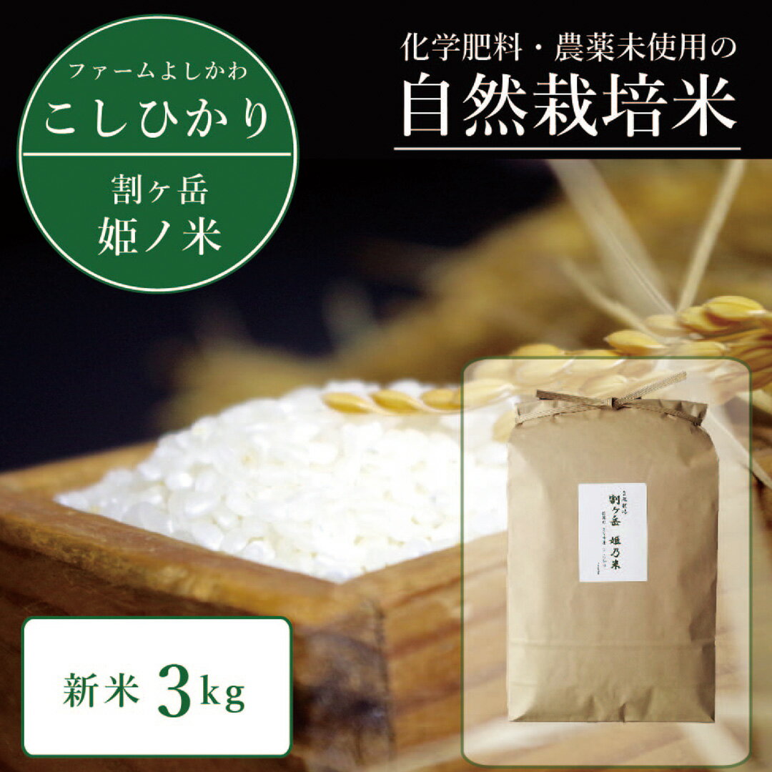 【ふるさと納税】2026年収穫分、予約開始！自然栽培コシヒカリ「割ケ岳 姫乃米」3kg 信濃町精米 令和8年の新米 11月出荷【長野県信濃町】
