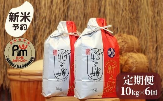 【新米予約】令和７年産「五つ星お米マイスター」の南魚沼産新之助　精米10kg（５kg×２個）×６回（毎月定期便）【2025年10月下旬より順次発送予定】