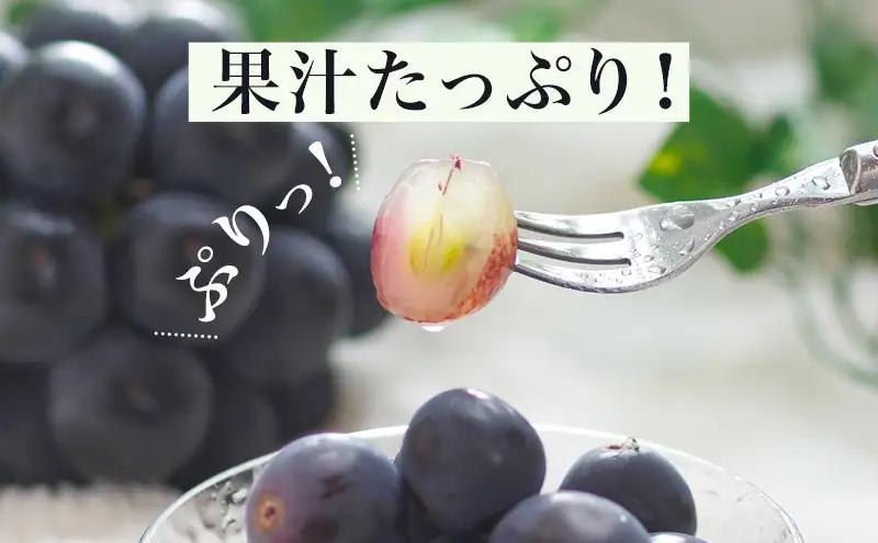 フルーツ詰合せ 白桃・ニューピオーネ 化粧箱入り 岡山県産 フルーツ詰合せ【白桃2玉 ピオーネ2房】【先行予約】