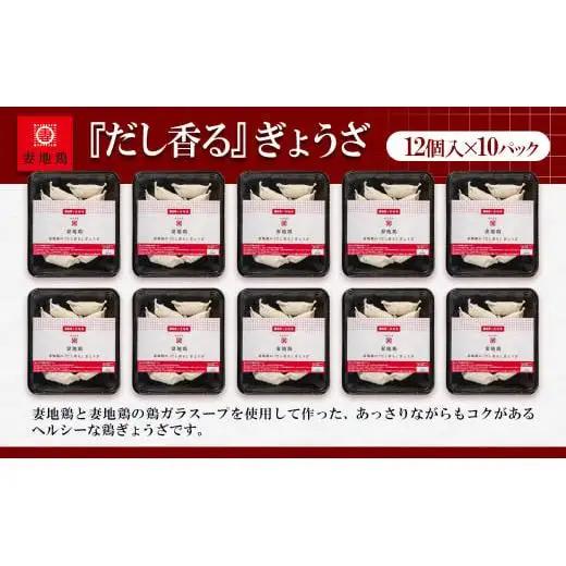 ブランド地鶏「妻地鶏」ぎょうざ詰合せ45　120個（12個×10パック） 小分け＜8-23a＞