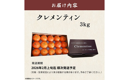 スペイン生まれのたら育ちクレメンティン 3kg クレメンティン みかん 柑橘 国産 オレンジ マンダリン 希少 ジューシー 佐賀県 太良町 M85x1 【2026年12月上旬～2027年1月上旬発送予
