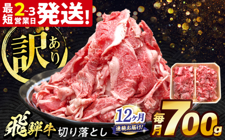 【12回定期便】 飛騨牛 切り落とし 700g 多治見市 / 養老ミート 冷凍 赤身 和牛 訳あり ギフト[THG019]