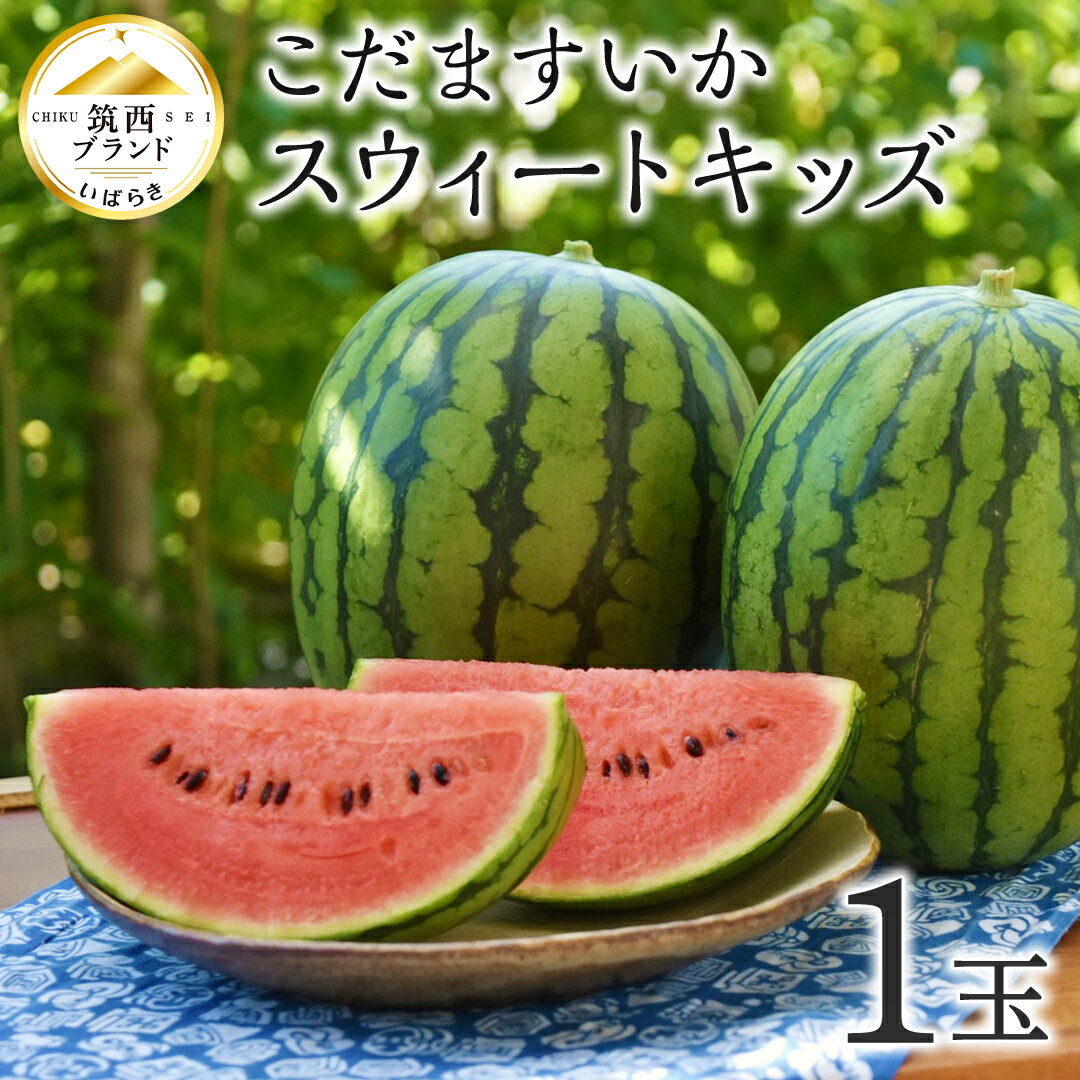【ふるさと納税】【 JA北つくば 】 こだますいか 「 スウィートキッズ 」 1玉 2026年産 小玉すいか 小玉 すいか スイカ 果物 フルーツ ピノガール 西瓜 くだもの デザート 茨城