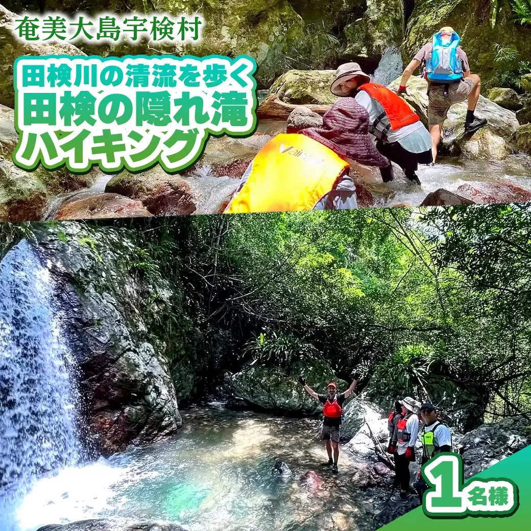 【ツアー可能期間：4月～10月】田検の隠れ滝ハイキング 体験 1名様 奄美大島 宇検村 鹿児島県 旅行 自然 冒険 完全プライベート