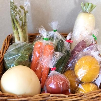 ふるさと納税 多気町 大師の里のとれたて旬の野菜と果物の詰め合わせ