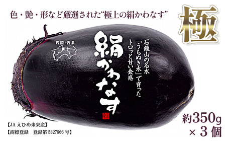 ［期間限定］ 西条の伝統野菜 「絹かわなす（極）」約350g×3個　絹かわなす ナス 茄子 野菜 【オンライン決済限定】