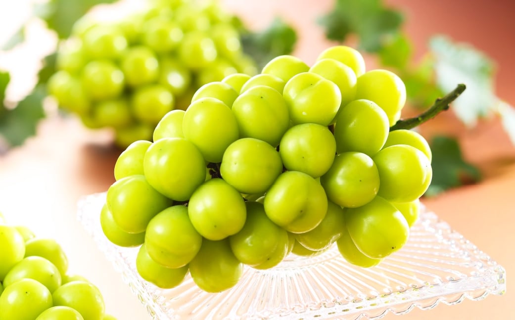 【2026年8月下旬～11月下旬発送予定】ご家庭用 岡山県産 シャインマスカット 晴王 約800g（400g×2房）