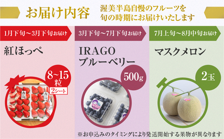 渥美半島の恵み フルーツ 定期便 ( いちご / ブルーベリー / メロン ) 3回お届け