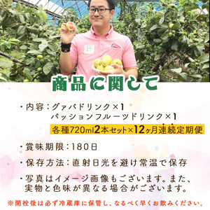 【定期便・全12回】驚きの果実感！グァバ・パッションフルーツドリンク２本セット(720ml×2本)×12回_K021-T005
