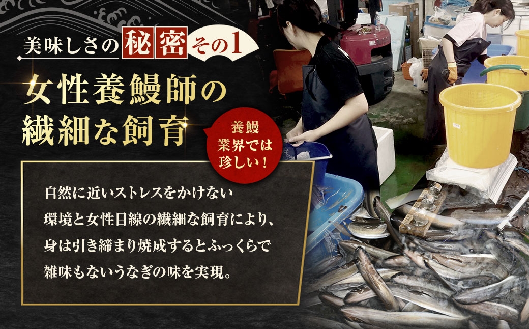 めぐみうなぎちょこっと贅沢