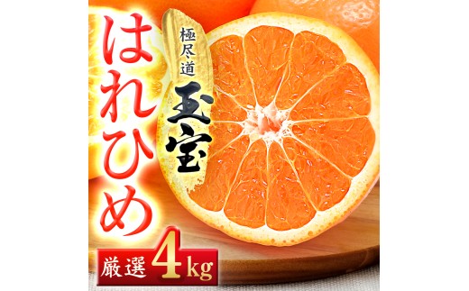 ＜愛媛名産＞玉宝はれひめ　4kg＜C64-70＞【1621812】 YWTY059