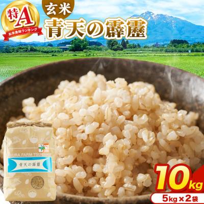 ふるさと納税 弘前市 米 青天の霹靂 玄米 10kg(5kg×2袋)R7年産 特A|24_mft-111001