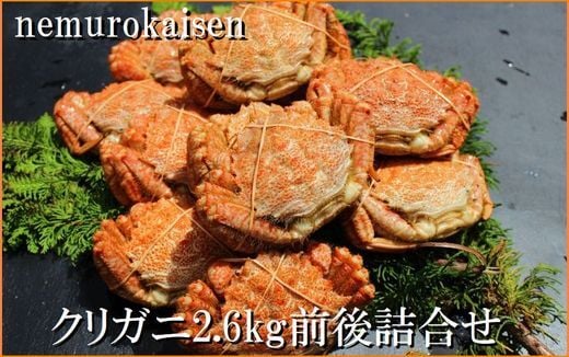 
                  A-57061 【北海道根室産】クリガニ12～14尾(計2.6kg前後)
                
