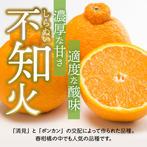 U6306_【2026年先行予約】不知火 しらぬい(デコポンと同品種) 秀品 15~30玉 和歌山県有田産
