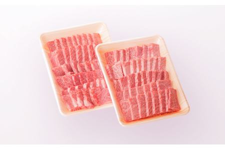 佐賀牛リブロース焼肉用600ｇ（300ｇ×2パック）FF0018