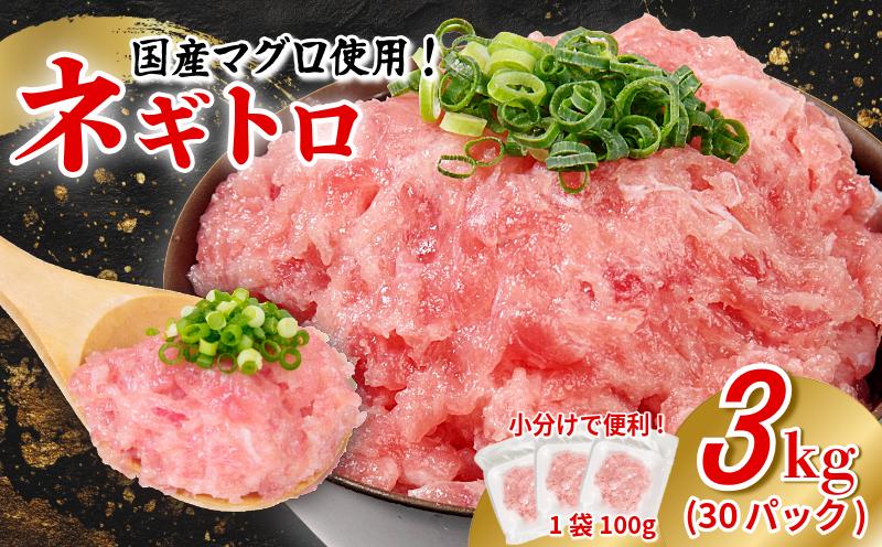 ネギトロ 3kg 100g×30P ねぎとろ マグロ 小分け ねぎとろ ネギトロ丼 まぐろたたき まぐろ マグロ 鮪 海鮮 海鮮丼 魚介 魚 人気 オススメ 小分け 人気 定番 ご飯