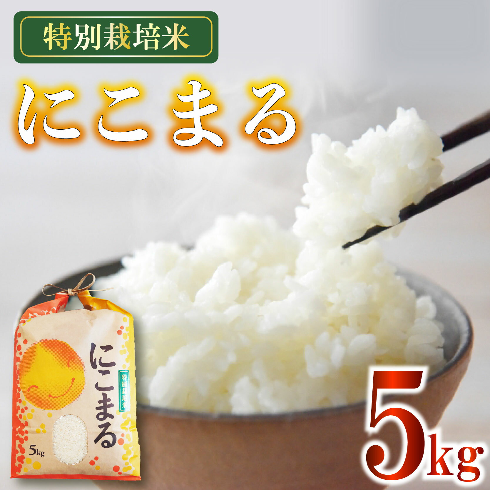 【ふるさと納税】 米 にこまる 5kg 農家直送 特別栽培米 精米 令和7年度産 お米 贈り物 人気米 ご飯 白米 コメ 贈答 静岡県 藤枝市