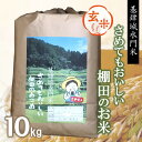 【ふるさと納税】【新米】令和6年産【基肄城水門米】さめてもおいしい棚田のお米 10kg【ひのひかり 米 玄米 お米 やまつき米 モチモチ 基山町産 棚田米 10kg】B-R072003