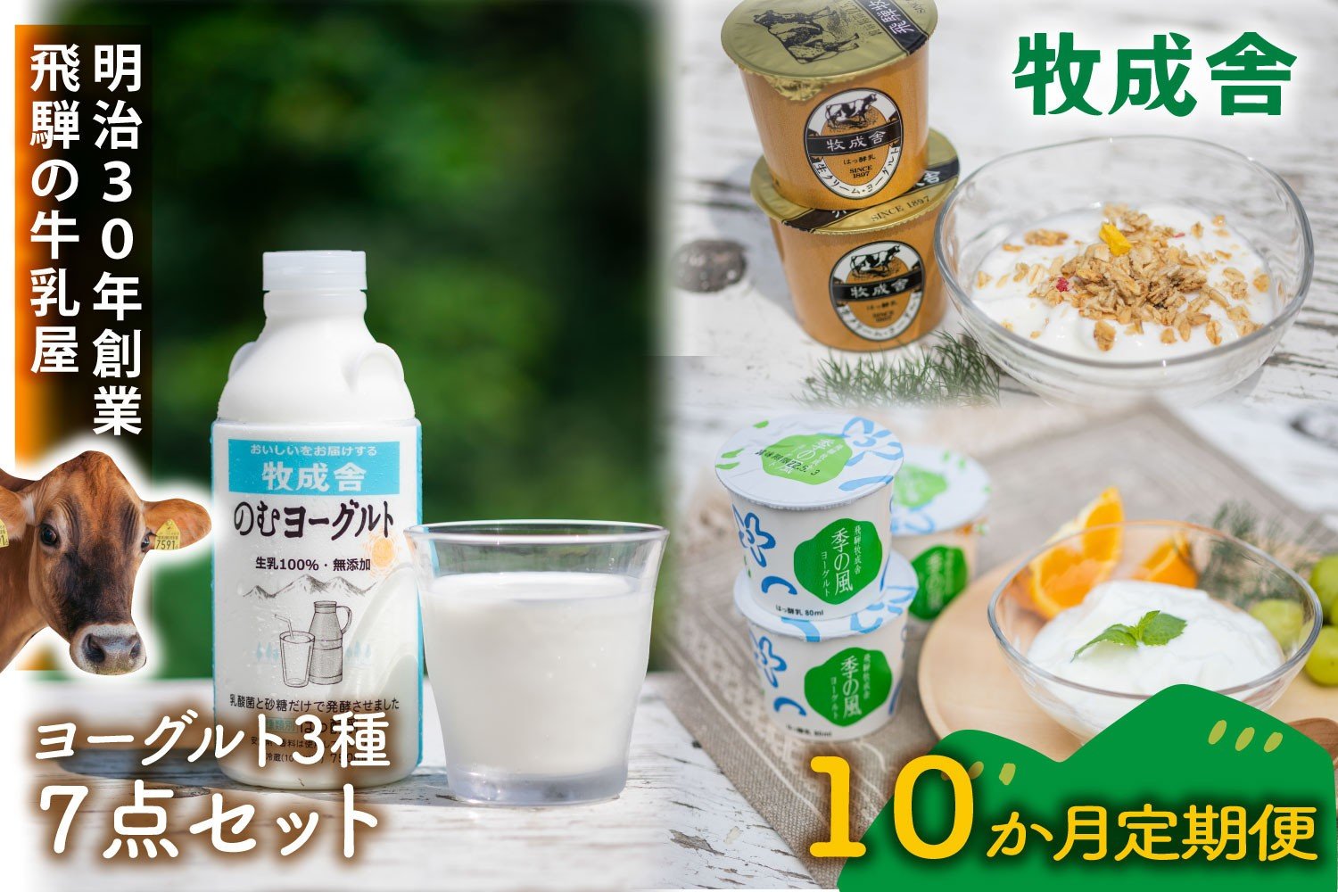 
            【10か月定期便】牧成舎のヨーグルト3種食べくらべセット｜ヨーグルト 乳製品 デザート 朝食 食生活 牧成舎DF214
          