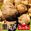 【ふるさと納税】【2025年先行予約】＜容量選べる＞ 新鮮 おいしい 里芋 石川早生丸 2kg or 5kg 5月お届け 野菜 ベジタブル ベジタリアン ミネラル豊富 先行予約 先行受付 予約 料理 調理 沖永良部産 堀りたて 穐田農園 ふるさと納税 知名町 おすすめ ランキング プレゼント