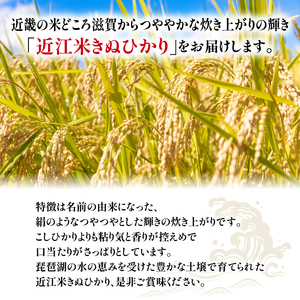 【定期便】令和5年産 きぬひかり 10kg 全6回 近江米 米粉 200g付