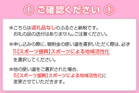 【サッカー 支援】 テゲバジャーロ 宮崎 J2 昇格 応援 1,000,000円 S28-06
