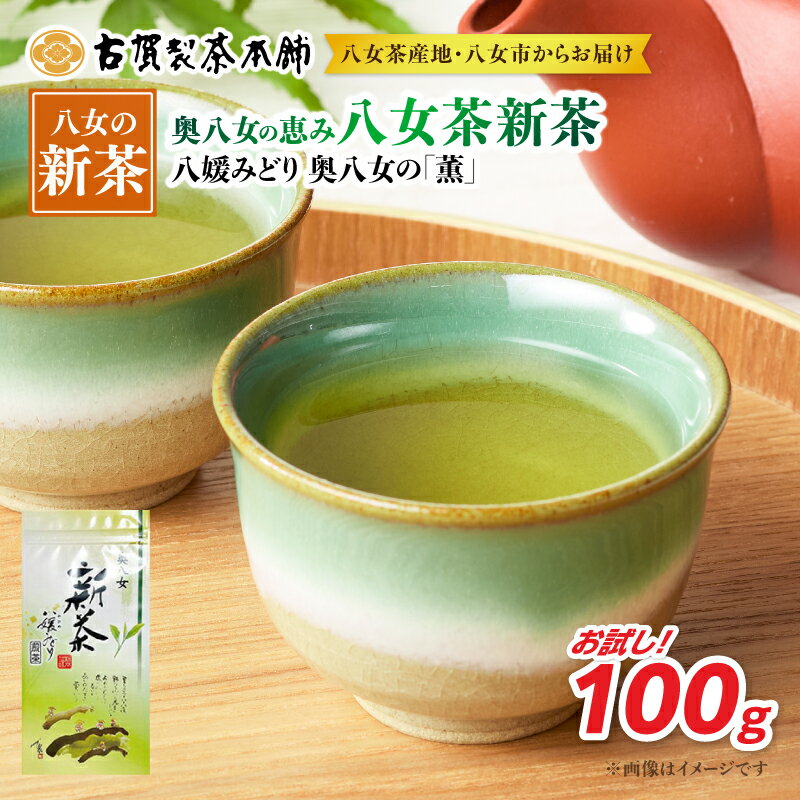 【ふるさと納税】古賀製茶本舗 奥八女の「薫」八媛みどり 新茶お試し100g【2026年5月以降発送】【メール便】 茶 お茶 八女茶 新茶 煎茶 お試し ポスト投函 簡易包装 訳あり