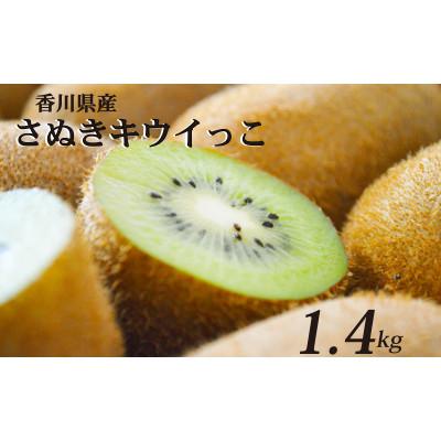 ふるさと納税 丸亀市 先行受付 さぬきキウイっこ 約1.4kg キウイフルーツ 香川県産 丸亀市 発送11月上旬から