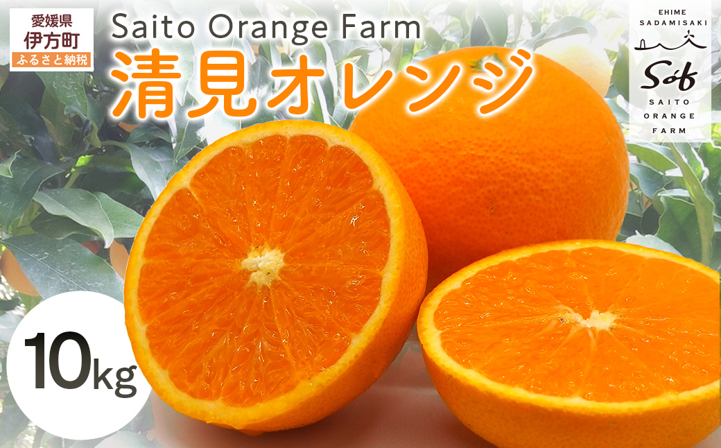 【先行予約】Saito Orange Farmの清見オレンジ10kg（2027年3月中旬頃より順次発送予定） IKTAQ008