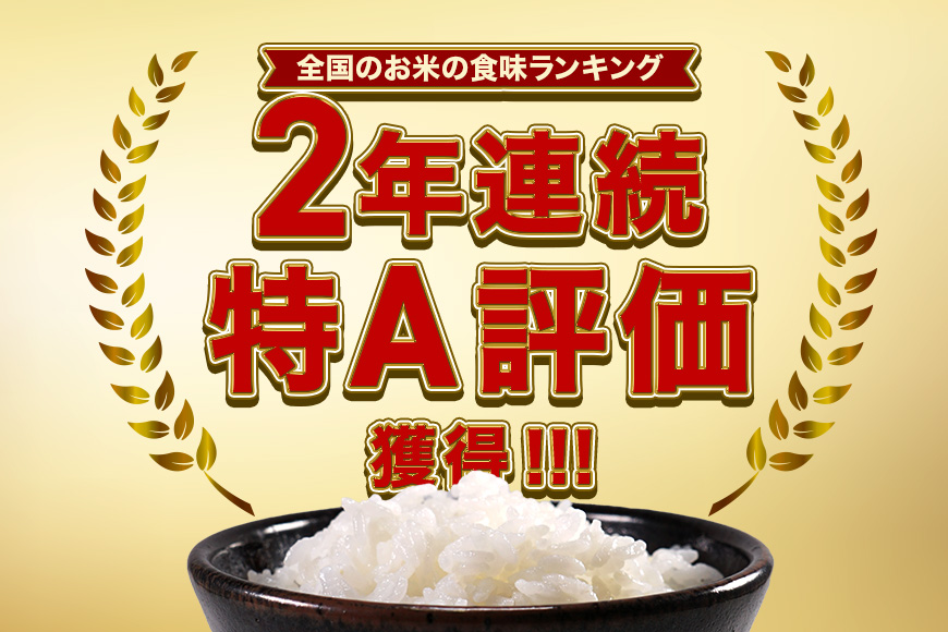 【3ヶ月定期便】令和7年産 新米 コシヒカリ 米 10kg (5kg×2袋) 計30kg 白米 こめ こしひかり 国産 国産米 取り寄せ ごはん ご飯 コメ お取り寄せ お弁当 弁当 おにぎり 産地直