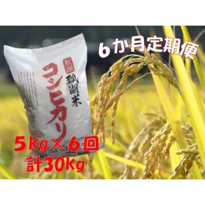 ふるさと納税 阿賀野市 【令和7年産新米】【6ヶ月定期便】新潟産コシヒカリ瓢湖米　5kg×6回