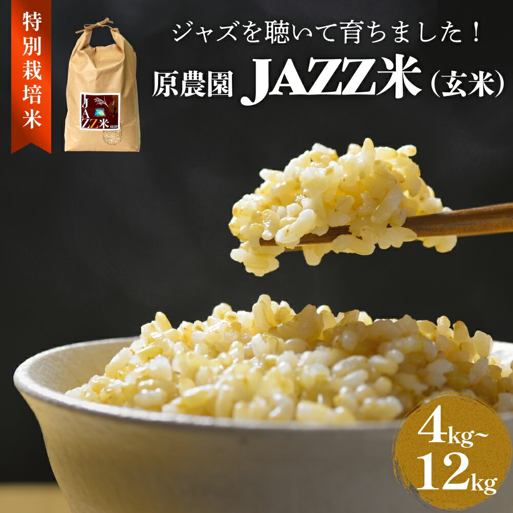 【ふるさと納税】《令和7年度産 原農園 JAZZ米 ( 玄米 ) 選べる 4kg-12kg ヒノヒカリ JAZZ米 JAZZ 米 玄米 原農園 米 銘柄米 きりかぶ山 水 肥料 有機質肥料 特別栽培米 抗酸化農法 光合成細菌 堆肥 アートテン農法 有効微生物農法 健康 食品 完熟堆肥