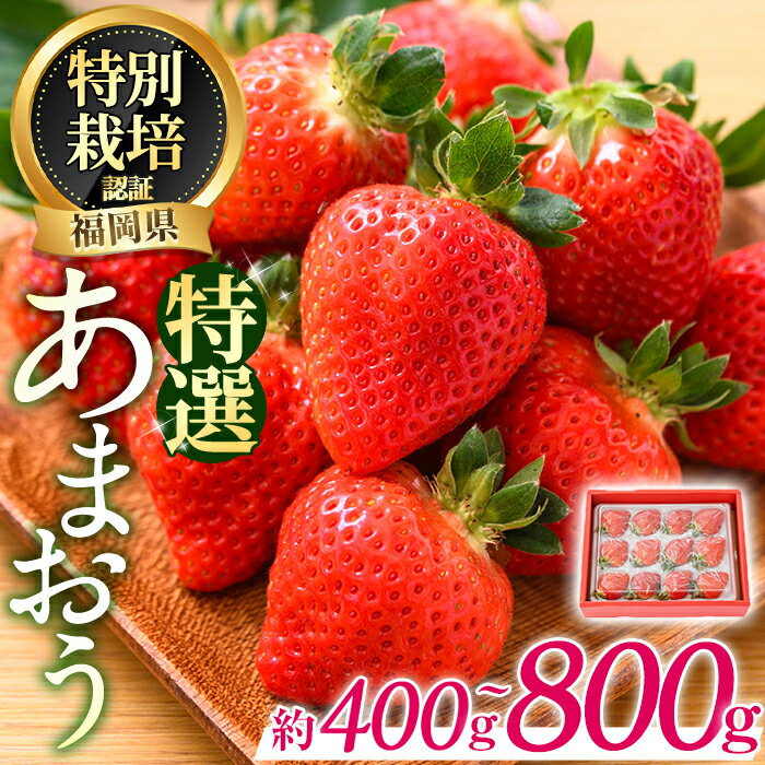 【ふるさと納税】＜予約受付中！2026年2月より順次発送予定・容量を選べる＞特選あまおう(約400g～800g) 苺 いちご イチゴ 国産 福岡県 果物 フルーツ ヨーグルト ジャム スムージー 冷蔵 特別栽培 ＜離島配送不可＞【ksg1318・ksg1319】【うるう農園】