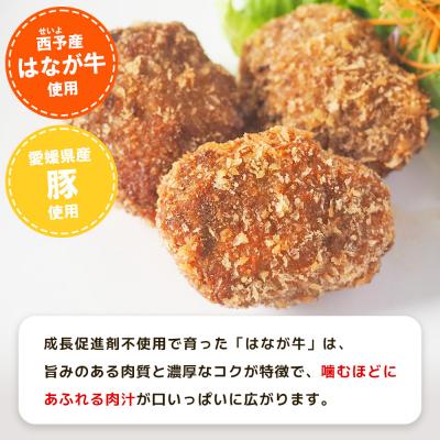 ふるさと納税 西予市 <はなが牛を使用した合挽メンチカツ 計6個> オリジナル おつまみ 手作り 肉肉しい |  | 02